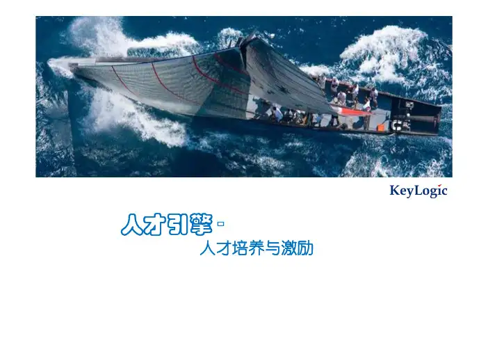 人才培养与激励