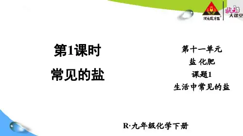 【精品教学课件】人教版九年级化学下册 第1课时 常见的盐