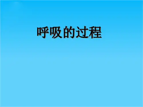 七年级生物下册 呼吸的过程课件 苏教版
