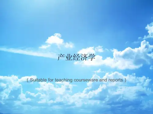 《产业经济学》PPT课件讲义