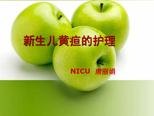 新生儿黄疸护理查房教学课件
