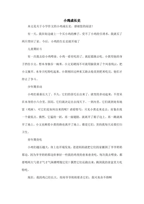 小鸡成长史_小学作文_1