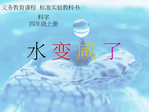 小学科学《水变咸了2》优质课件设计