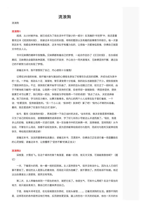 流浪狗——精选推荐