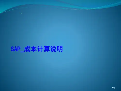 SAP成本核算说明