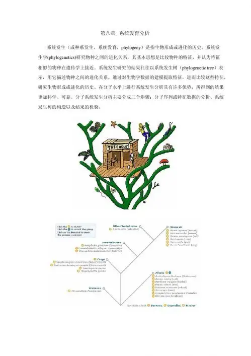 生物信息学 第八章 系统发育分析