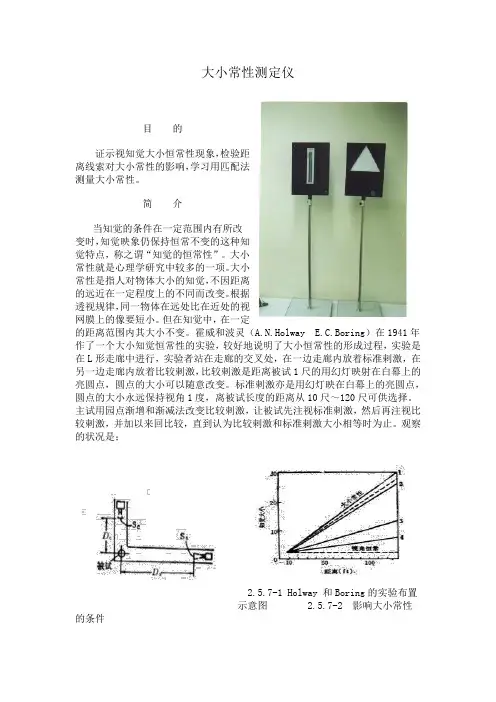 大小常性测试(IE)