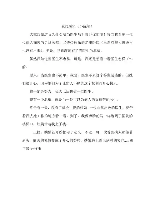 我的愿望小练笔-作文