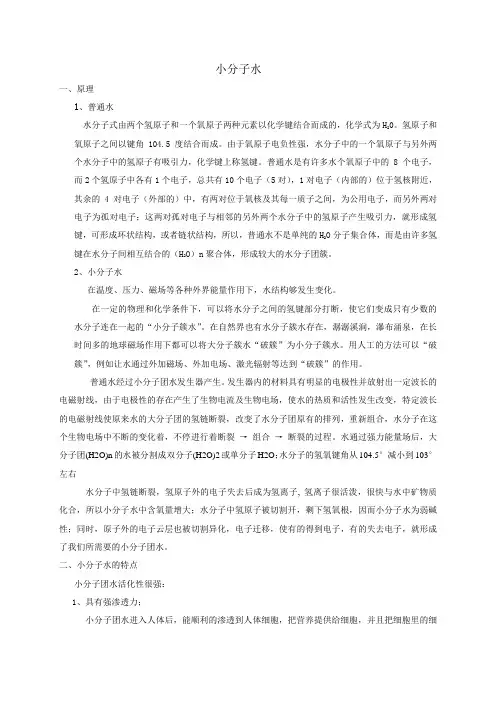 小分子水资料