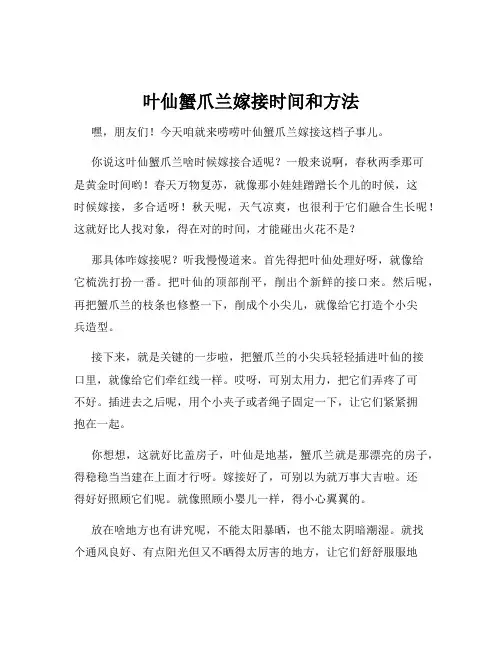 叶仙蟹爪兰嫁接时间和方法