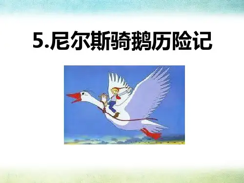 《尼尔斯骑鹅历险记》PPT精选教学课件