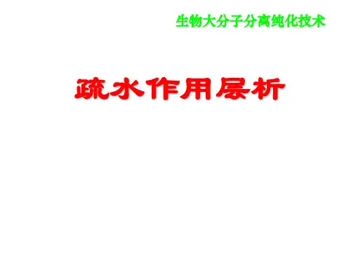 生物大分子分离纯化技术 之疏水作用层析(19页)