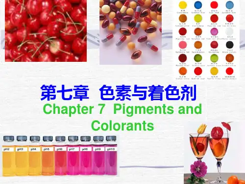 第七章  色素与着色剂