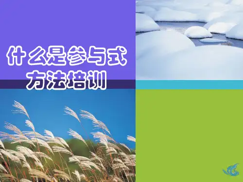 什么是参与式培训)