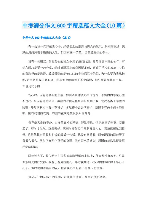 中考满分作文600字精选范文大全(10篇)