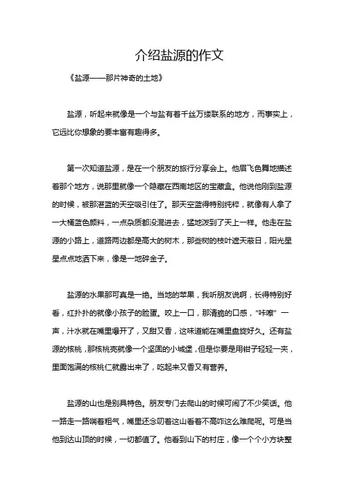 介绍盐源的作文