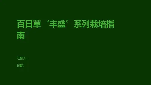 百日草‘丰盛’系列栽培指南