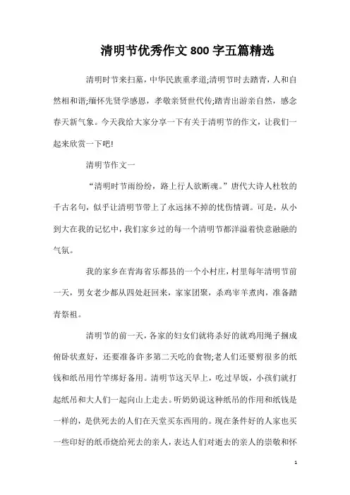 清明节优秀作文800字五篇精选