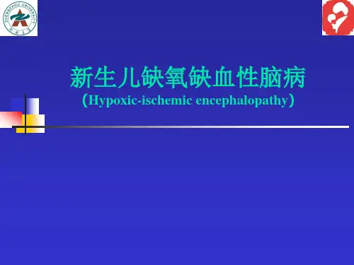 新生儿缺氧缺血性脑病PPT