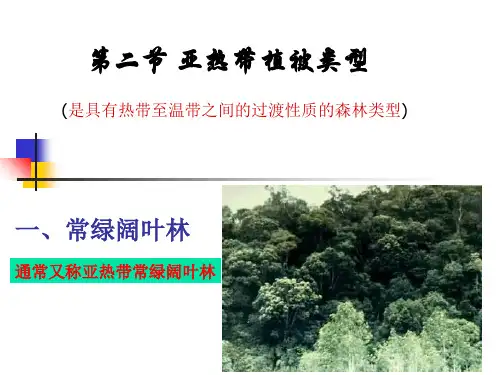 亚热带植被类型PPT课件