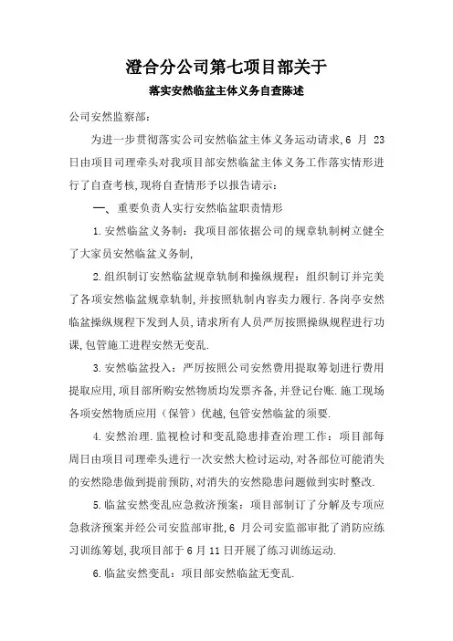 落实安全生产主体责任自查报告