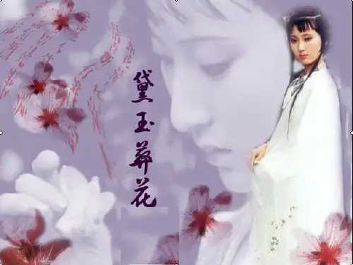 黛玉葬花ppt课件2