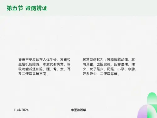 中医诊断学脏腑辨证