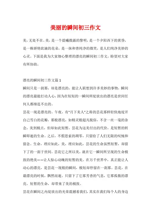 美丽的瞬间初三作文