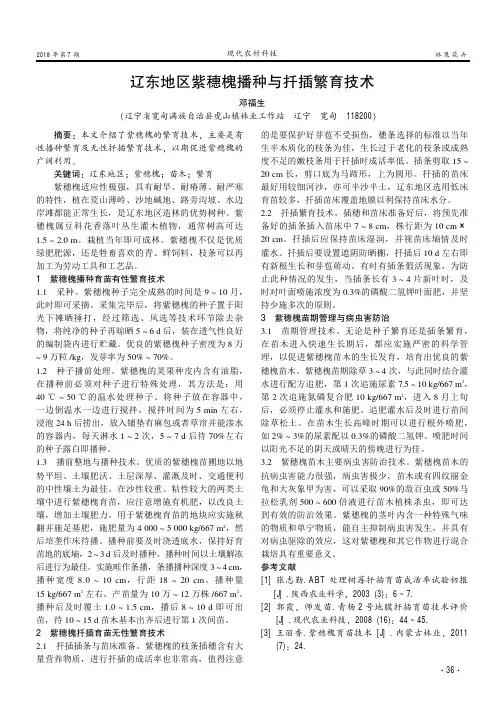 辽东地区紫穗槐播种与扦插繁育技术