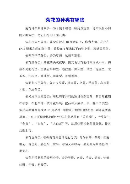 菊花的种类有哪些