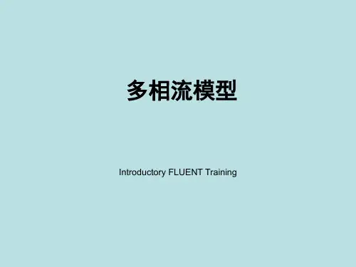 Fluent学习资料教程集锦12-fluent_多项流