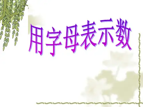 五年级上册数学课件-8.2 用字母表示数丨苏教版 (共24张PPT) (1)