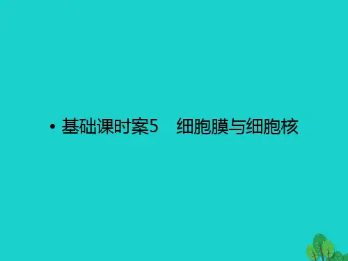 高考生物一轮复习 第2单元 细胞的基本结构与物质运输5课件 苏教版必修1