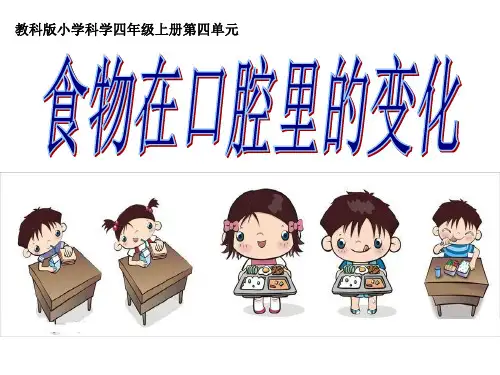 四年级上册科学课件-4.6食物在口腔里的变化 教科版(共9张PPT)