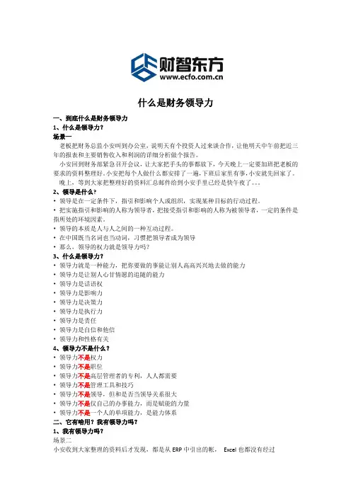 什么是财务领导力