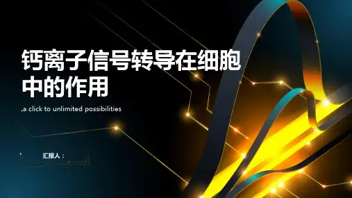 钙离子信号转导在细胞中的作用