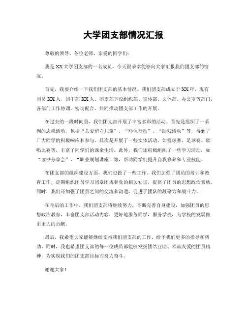 大学团支部情况汇报