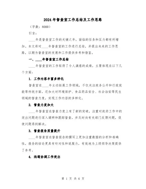 2024年督查室工作总结及工作思路(2篇)