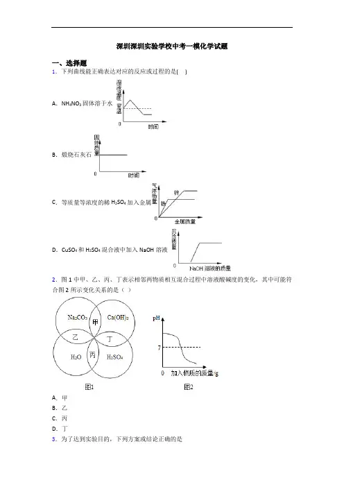 深圳深圳实验学校中考一模化学试题