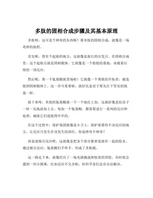 多肽的固相合成步骤及其基本原理