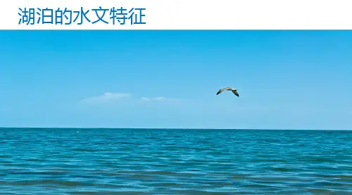 高中地理：湖泊的水文特征