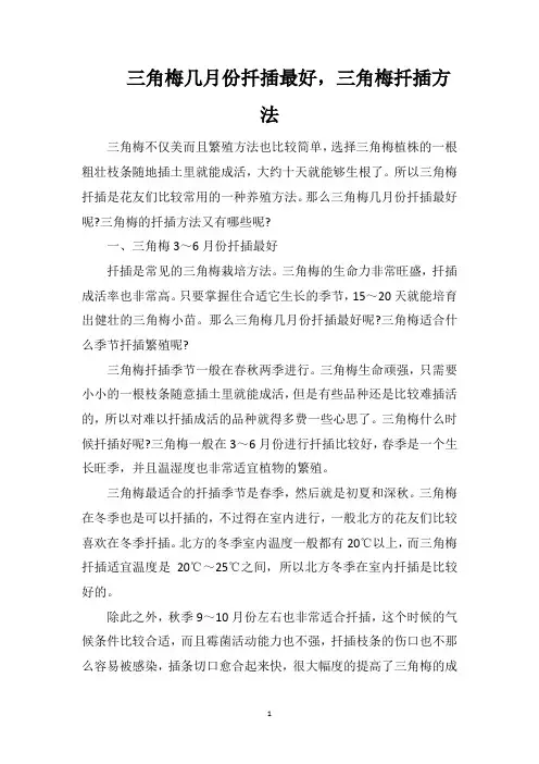 三角梅几月份扦插最好,三角梅扦插方法