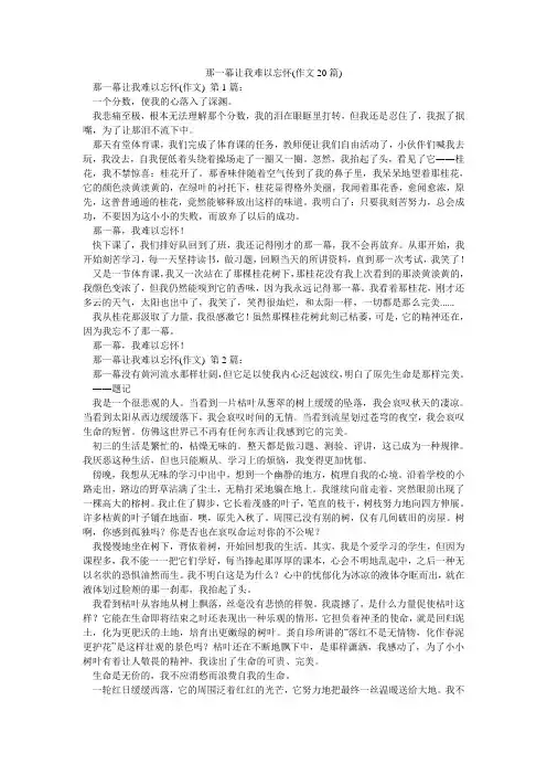 那一幕让我难以忘怀(作文20篇)