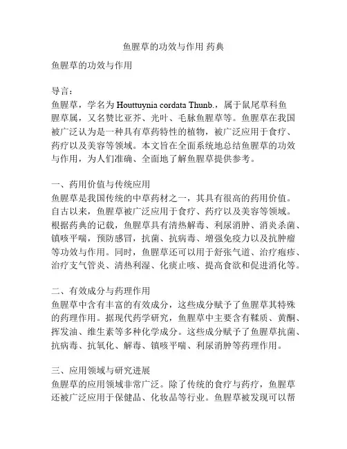 鱼腥草的功效与作用 药典
