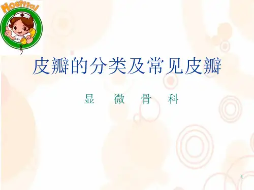 皮瓣种类PPT参考课件