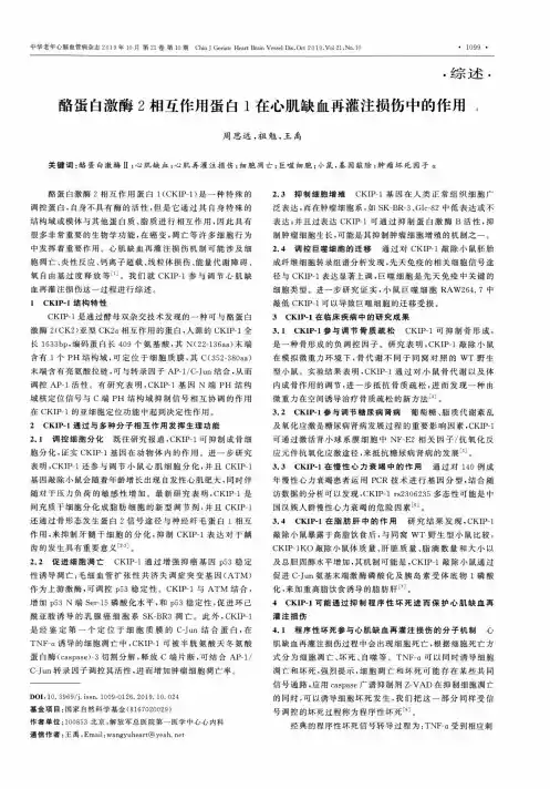 酪蛋白激酶2相互作用蛋白1在心肌缺血再灌注损伤中的作用