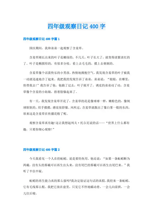 四年级观察日记400字