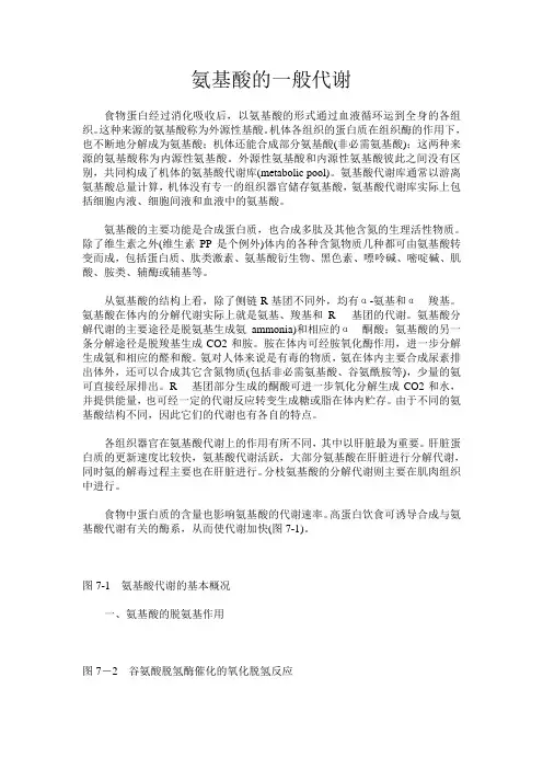氨基酸的一般代谢