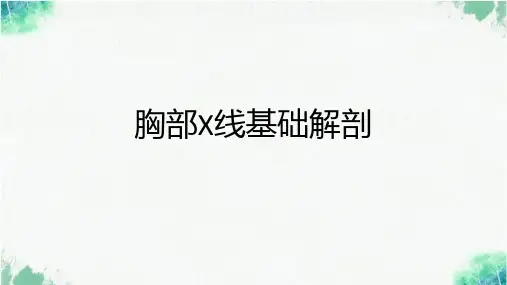 胸部X线基础解剖