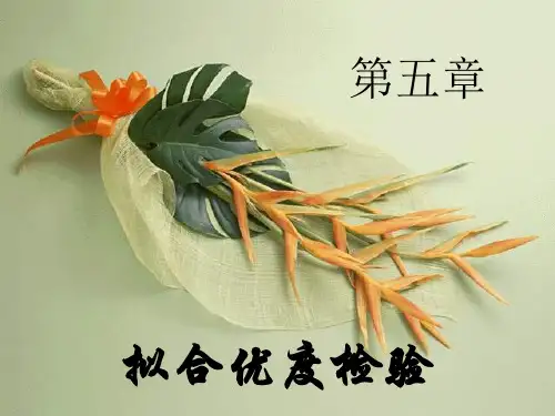5第五章  拟合优度检验